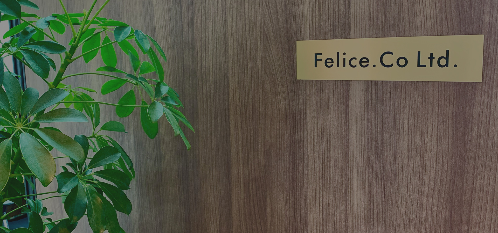 株式会社Felice Consulting